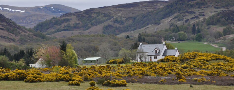 Foto Landschaft bei Fort Augustus