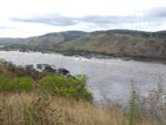 Kongofluss