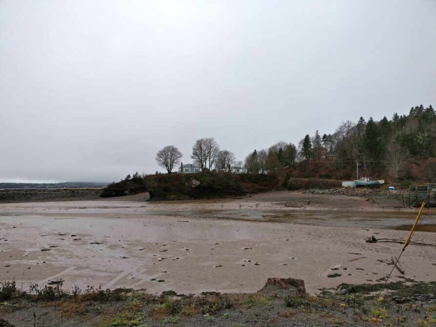 Ebbe im Hafen