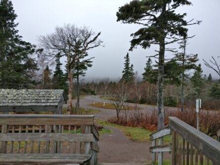 Aussichtsplattform entlang des Weges