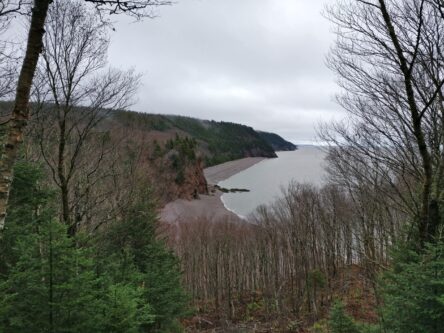 Blick auf den Strand