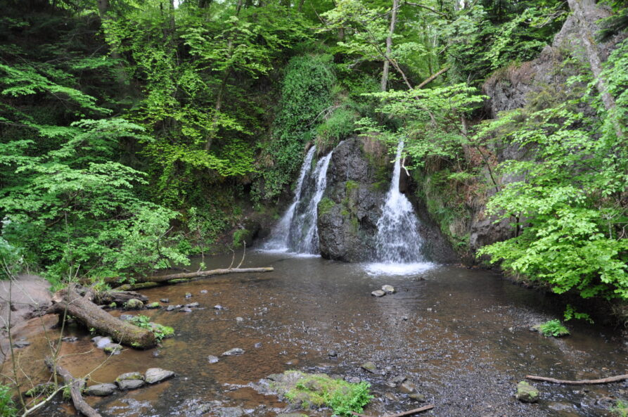 Der Pfad am Fluss entlang ist sehr schön, es ruhig, die Vögel zwitschern, der Fluss plätschert am Weg entlang. Auch sehr schön bei leichtem Regen, dann versteht man auch wo Feenwald herkommt. Nummer 2