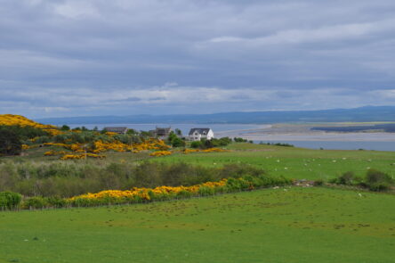 Ausblick auf die Bucht, den Moray Firth