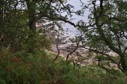 Blick von der Klippe auf den Strand