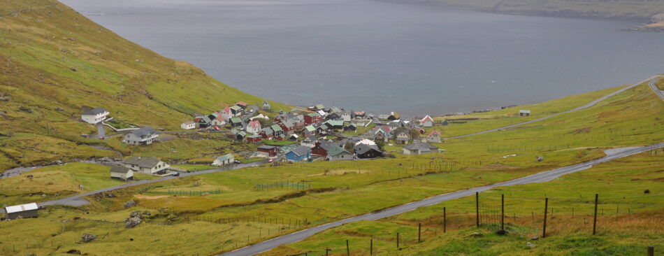 Funningur im Vordergrund und das Meer im Hintergrund.