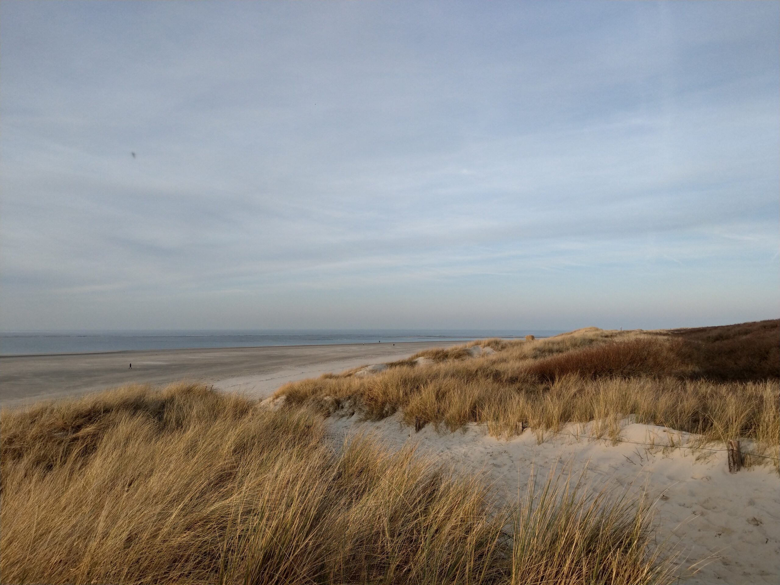 Düne und Meer auf Langeoog