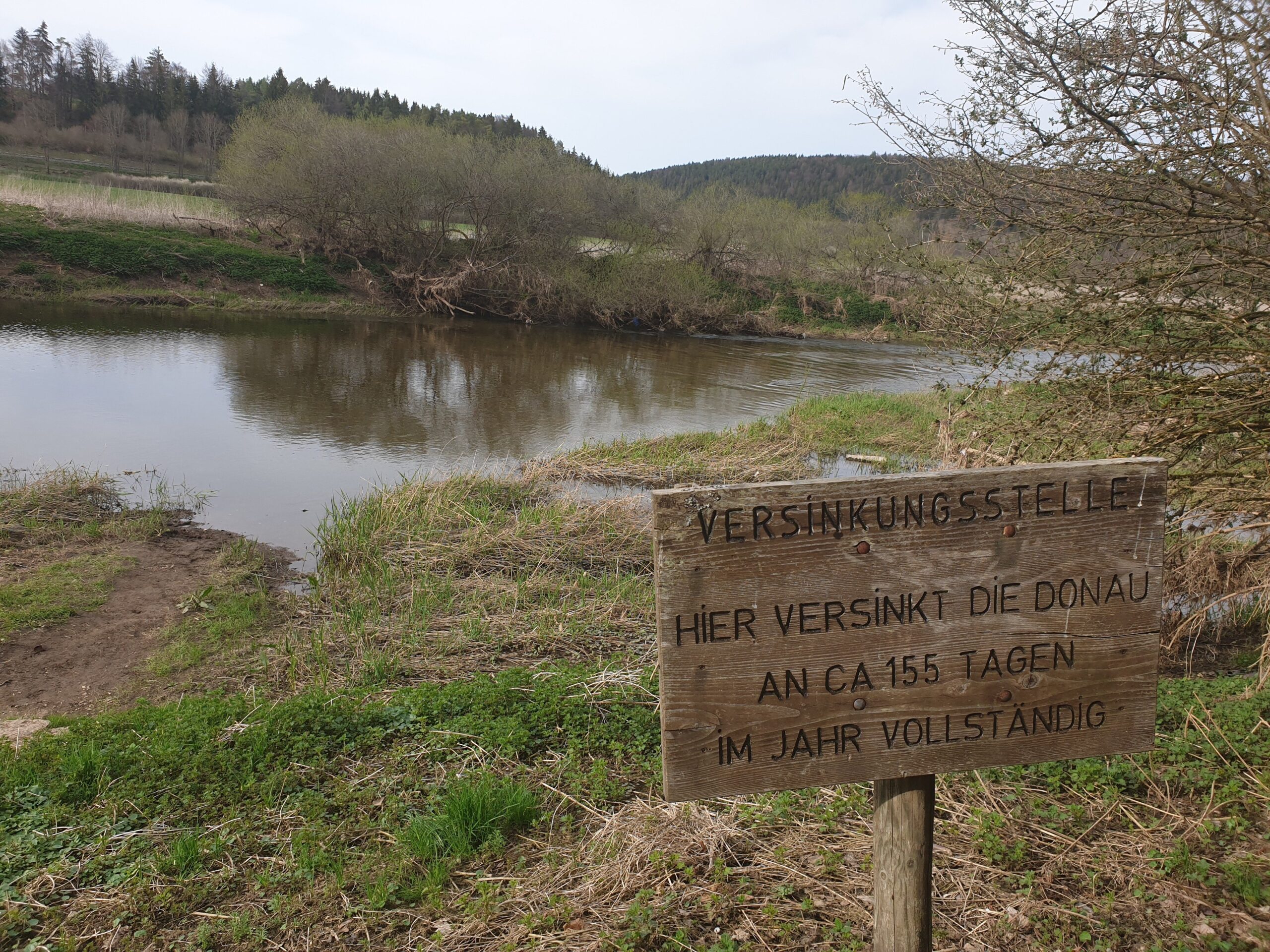 Versinkungsstelle: Hier versinkt die Donau an 155 Tage im Jahr vollständig... um dann in Hegau im Aachtopf wieder aus dem Boden zu strömen.