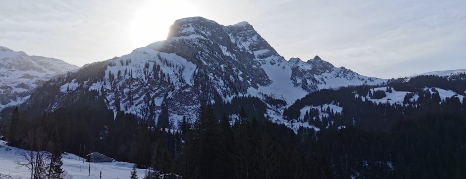 Winterlandschaft in Saanen am Lauener See