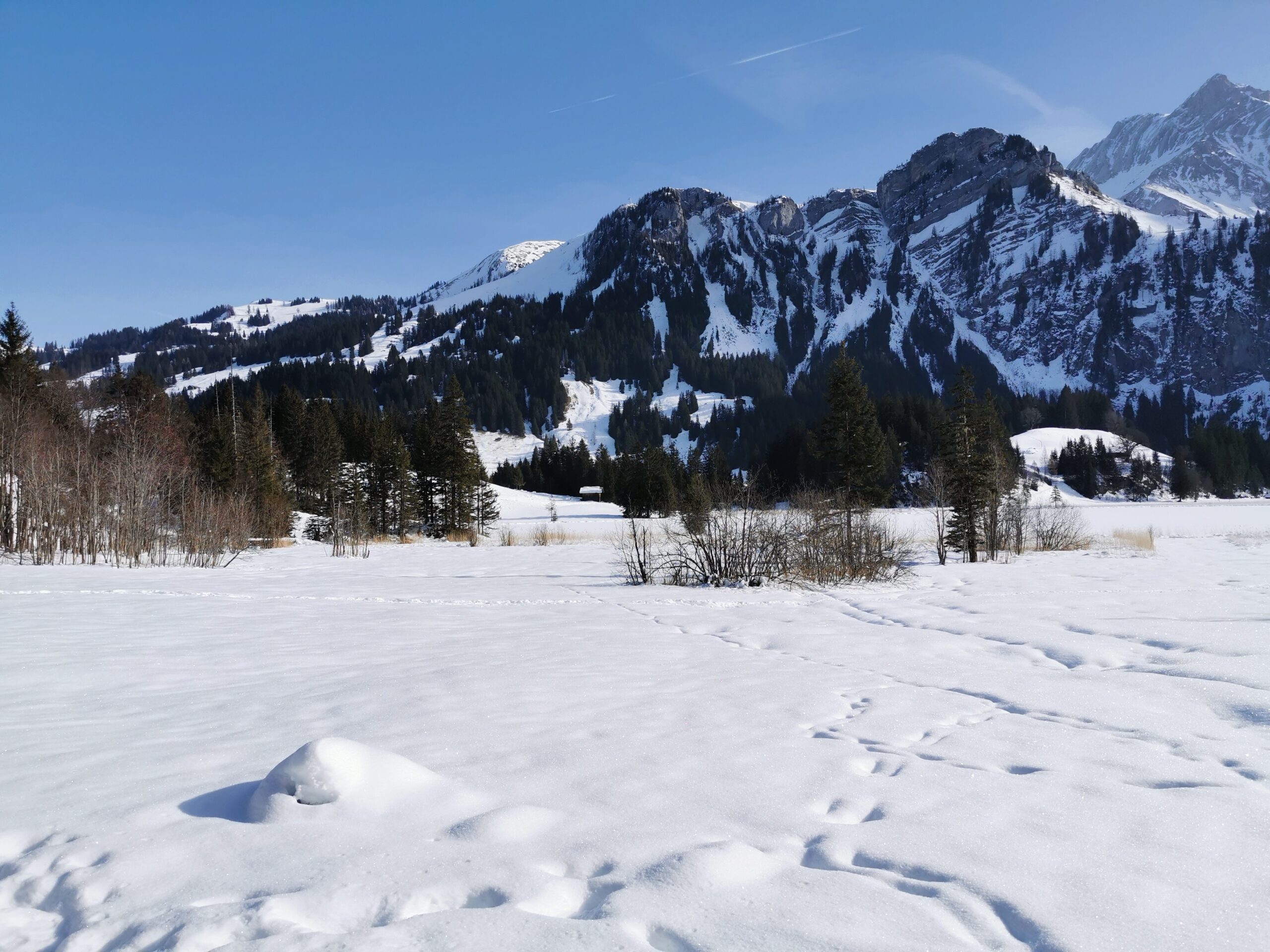 Winterlandschaft in Saanen am Lauener See