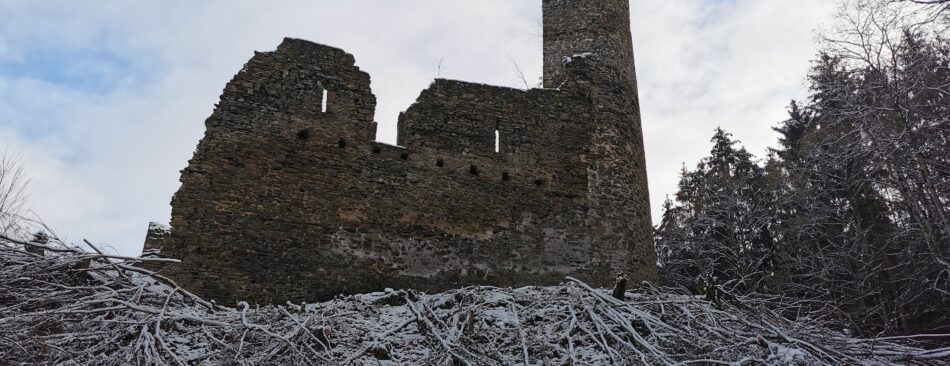 Blick auf die Burg vom Weg der zur Burg führt
