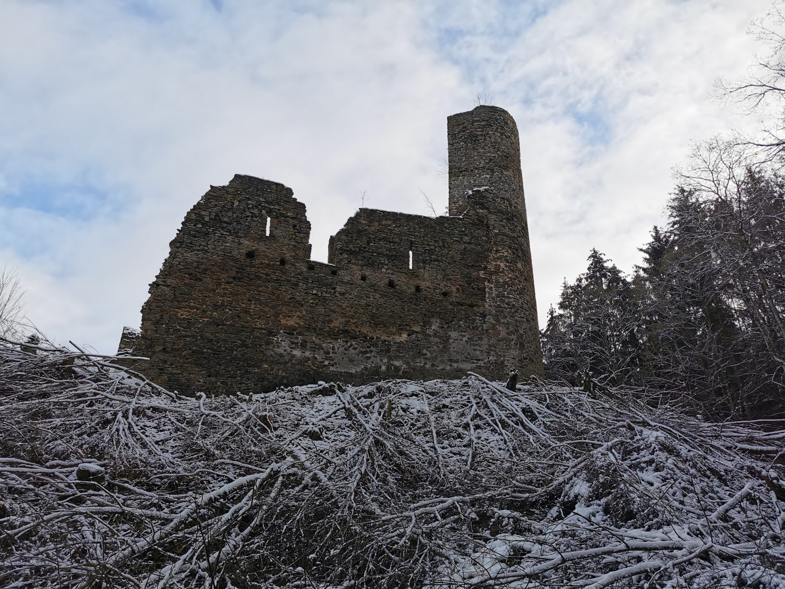 Blick auf die Burg vom Weg der zur Burg führt