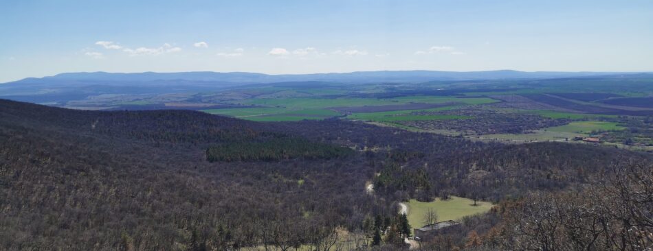 Blick vom Berg