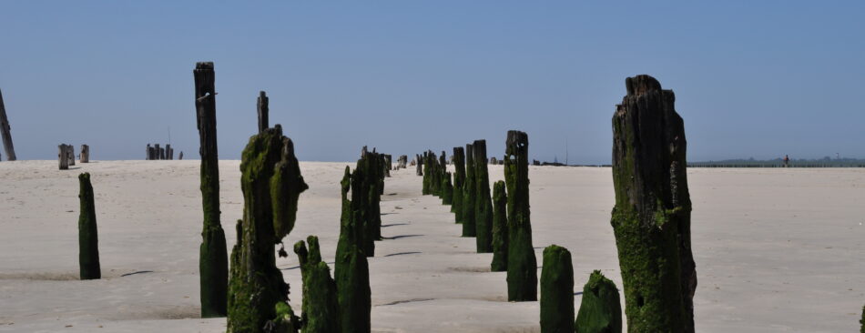 Pfähle im Sand am alten Fähranleger