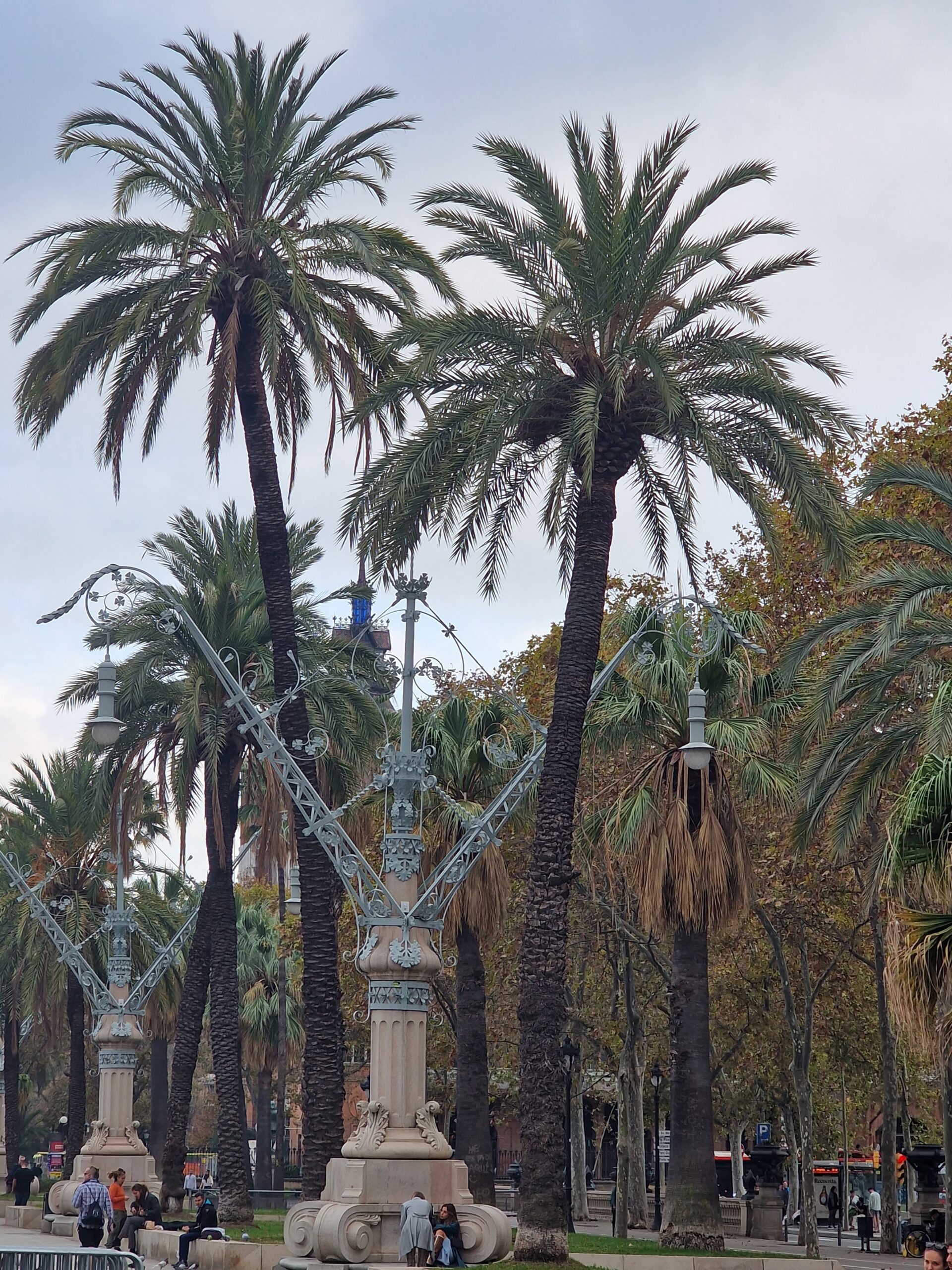 Straßenlaternen und Palmen in der Nähe des Arc de Triomf