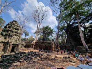 Bäume im Ta Prohm Tempel