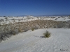 Whitesands Dünen New Mexico