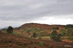 Die Highlands in der Nähe von Loch Ness. Bei manchen Bildern kann man unten auch sehen wo sie genau aufgenommen wurden wenn man auf Fotodetails klickt.