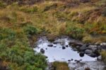 Ein kleiner Bach. Wasserfestes Schuhwerk ist für die Wanderungen hier notwendig.