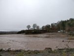 Ebbe im Hafen