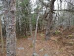 Wanderpfad Nature Park
