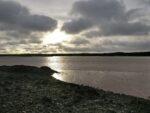 Ebbe