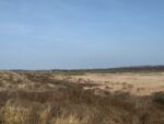 Blick Richtung Wasserturm auf/von Langeoog