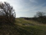 Wiese auf Langeoog