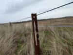 Rostiger Zaunpfahl auf Langeoog