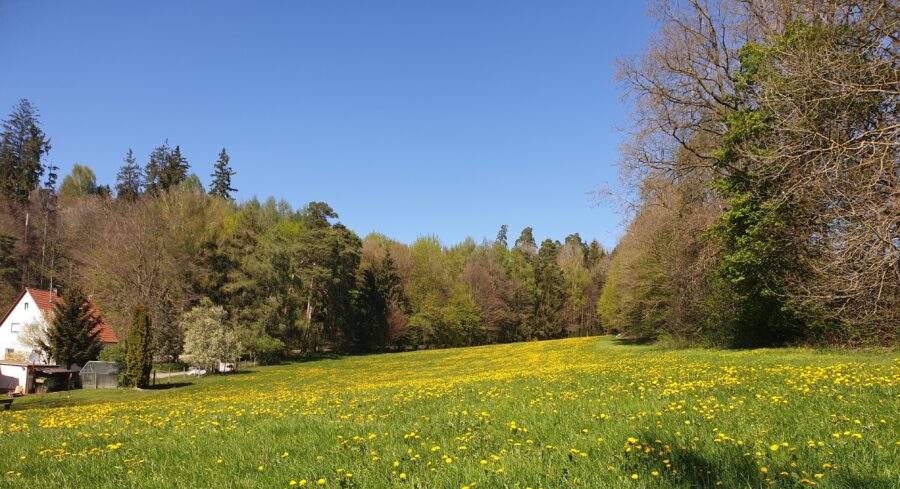 Wanderung in der Schwäbischen Alb