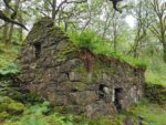 Altes Haus, Ruine im Wald
