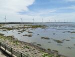 Gaomei Wetlands und Windpark im Hintergrund in Taichung, Taiwan