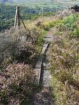 Alte verrostete Schiene im Steinbruch, genauer ein Teil einer Weiche, heute überwuchert und teilweise auch schon entfernt.