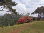 Aussichtspunkt im Nationalpark