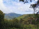 Blick von einem Aussichtpunkt im Blackriver Nationalpark