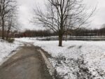 See im Mount Royal Park