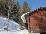 Wanderung im Schnee um den Lauener See