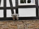 Arsch mit Ohren