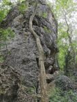 Felsen