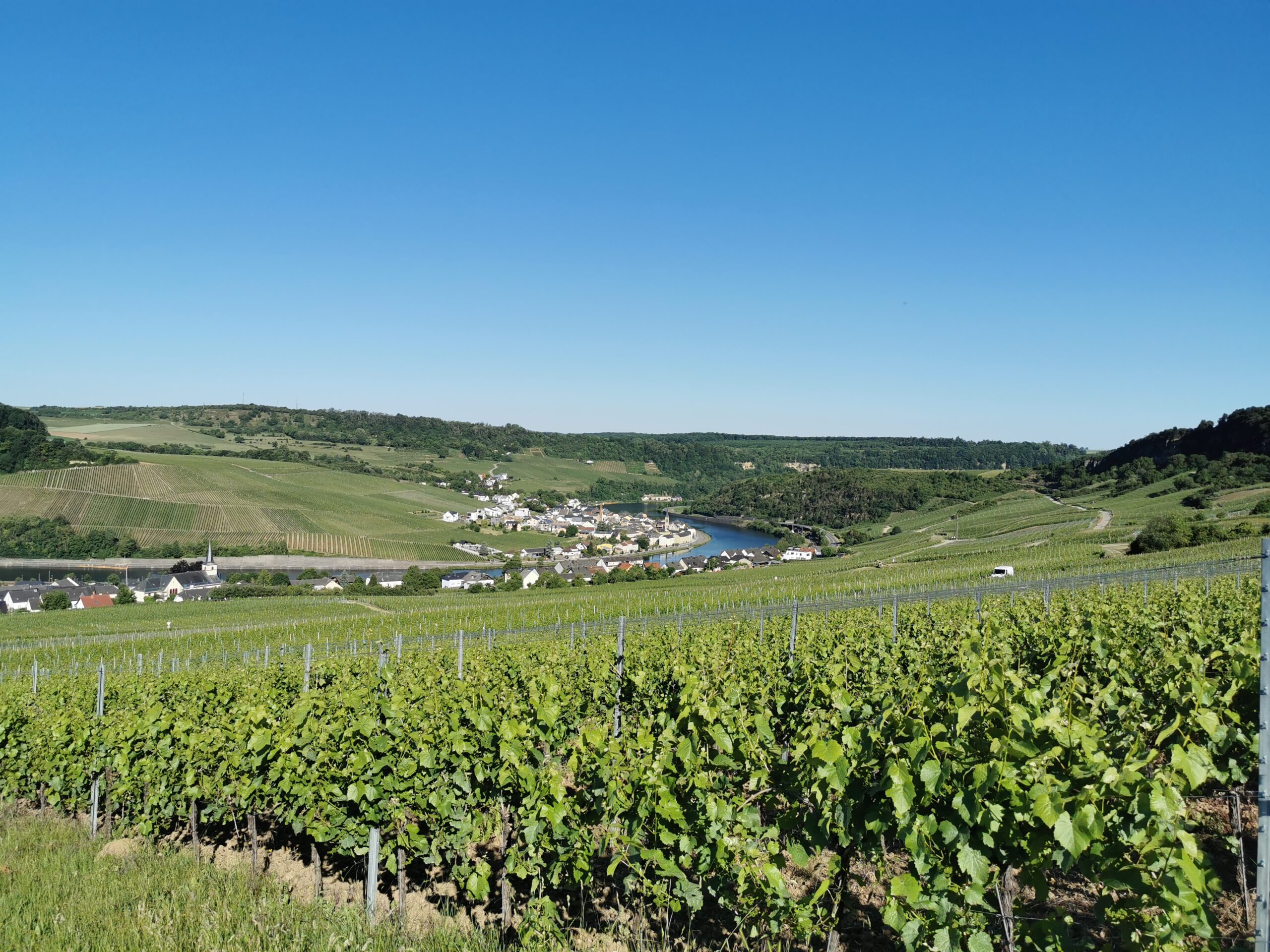 Etappe 3 des Moselsteig