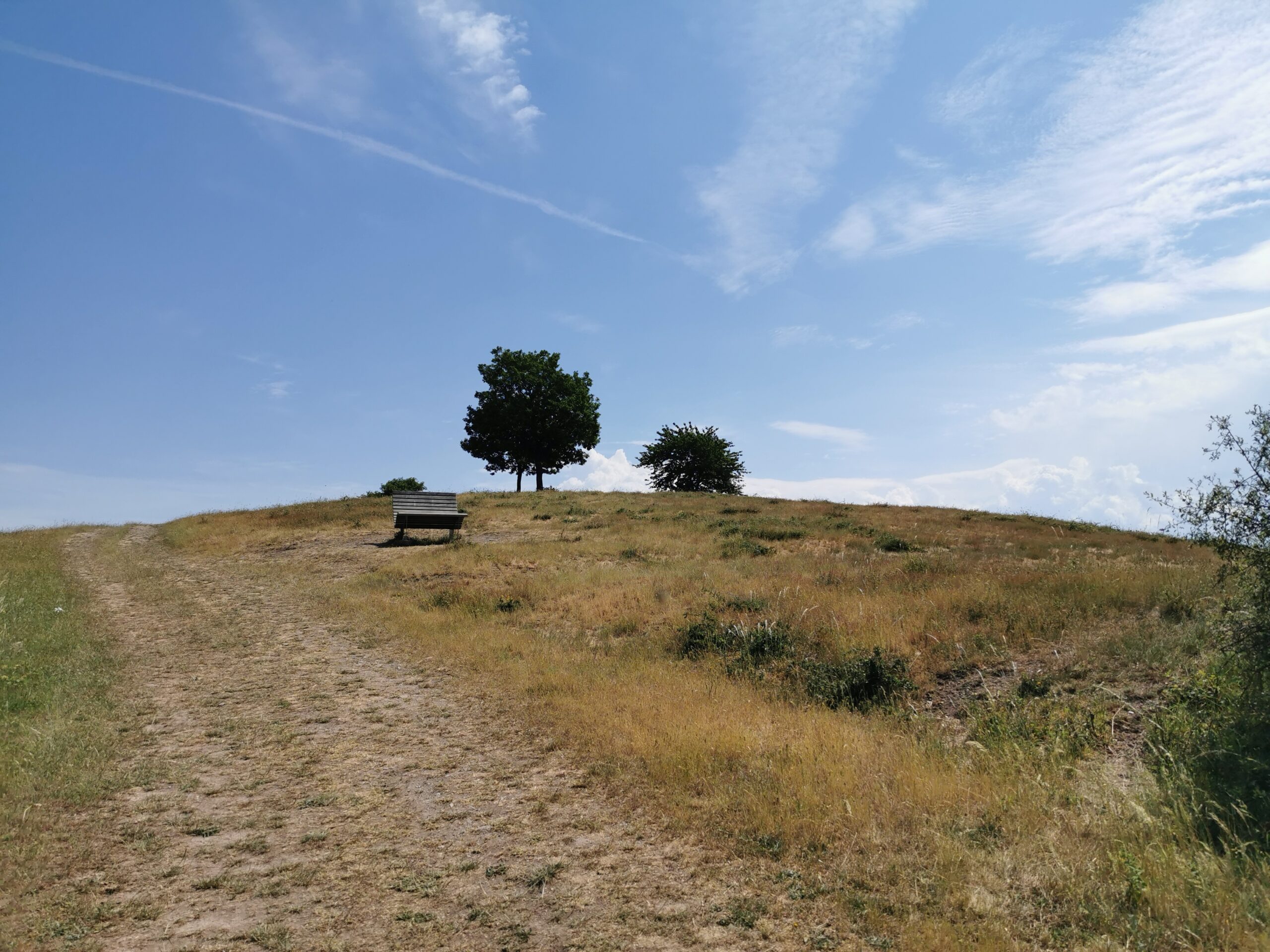 Etappe 6 des Moselsteigs