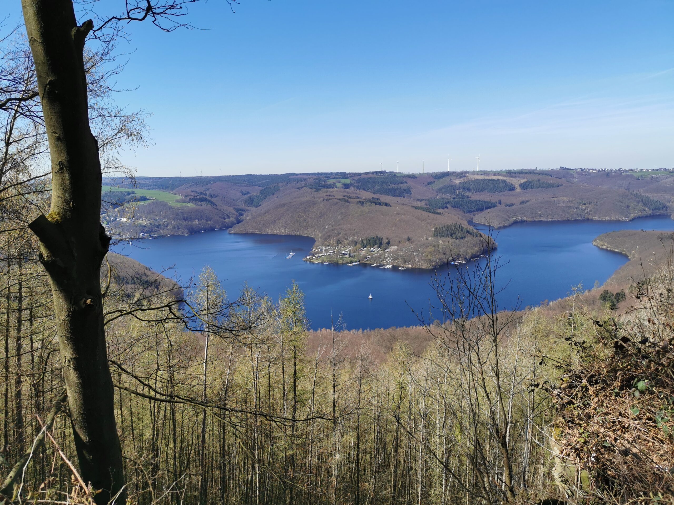 Wanderung Nationalpark Eifel – Rurtalsperre