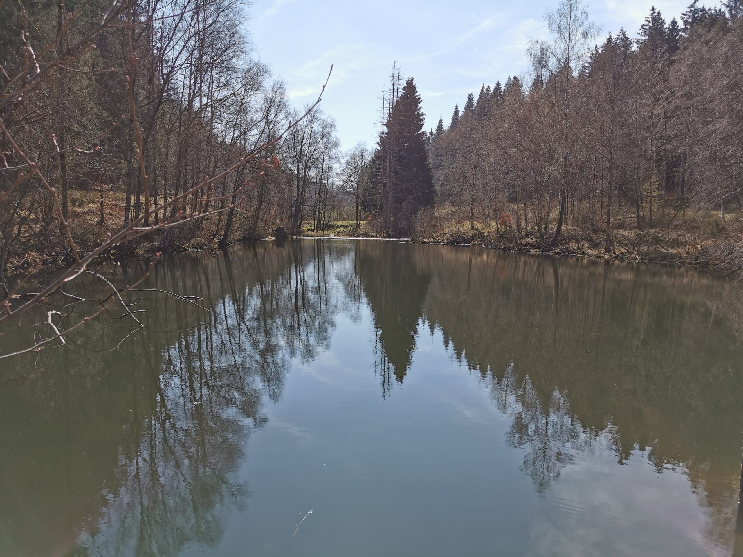 Wanderung Nationalpark Eifel (Themenweg T3)