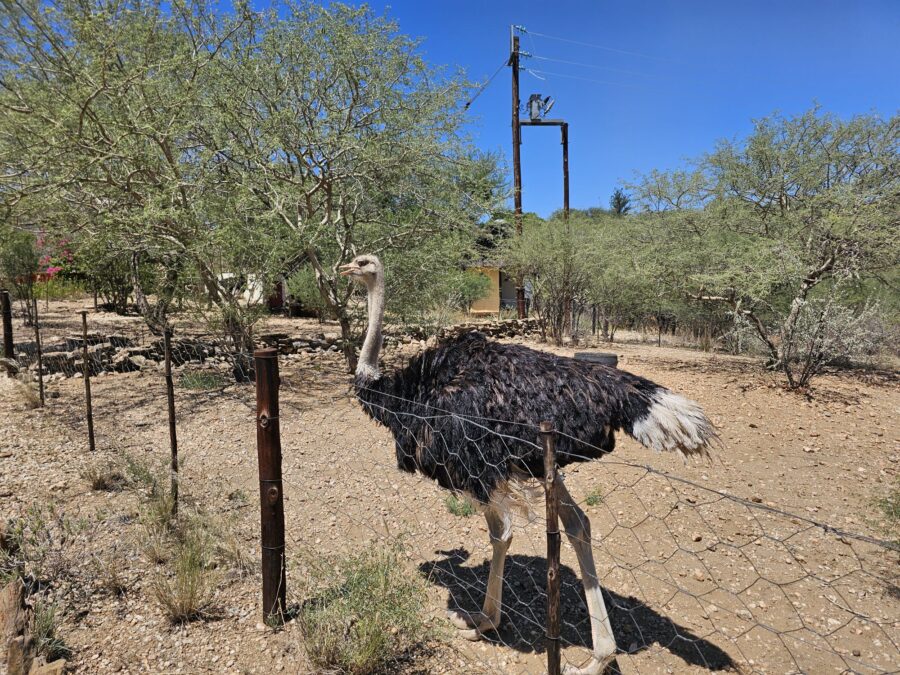 Namibia Ankunft